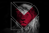 DV Design